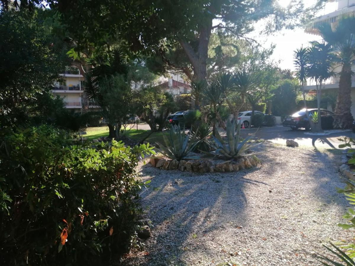 Cote D'azur Apartment Cannes