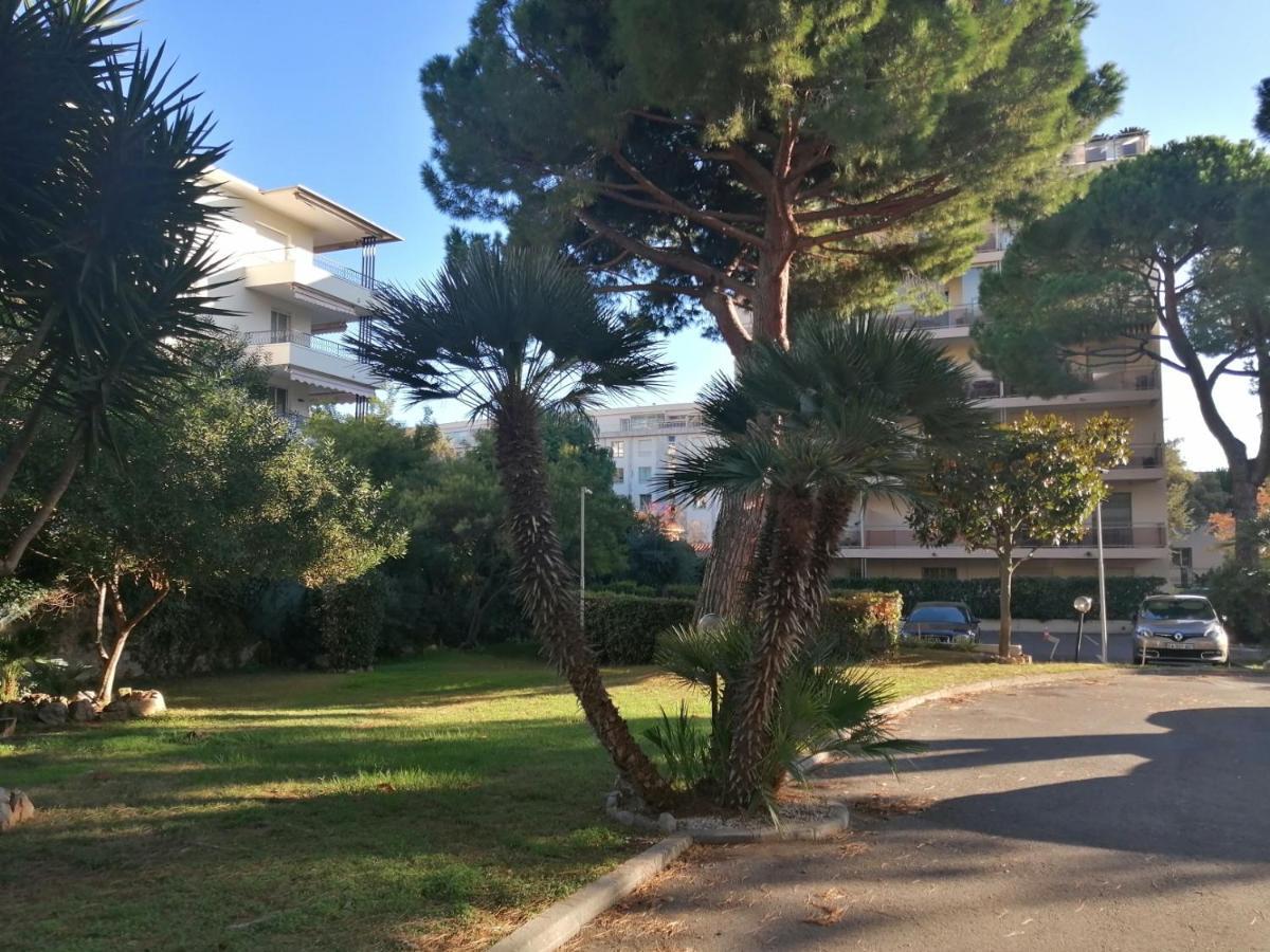 Cote D'azur Appartement Cannes